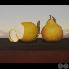 NARANJA Y PERA - Obra de Sebastián Díaz - Año 2005
